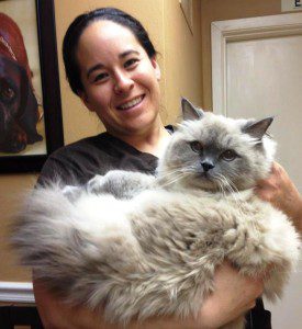 Lakeshore Animal Clinic - Veterinarian, Boarding & Grooming