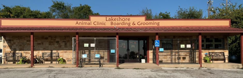 lakeshore animal hospital hours